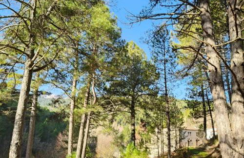 La Guijarroseña , Rio Madera - Foto 33