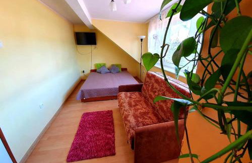 Pokoje nad morzem Mikoszewo - Foto 6