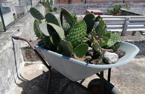 Le Volte di Lo Re - Foto 33