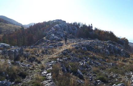 Apartments Tomas - Foto 22