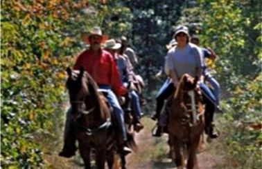 Secluded Home with Mini Waterfall and a Creek in Hot Springs - Foto 29