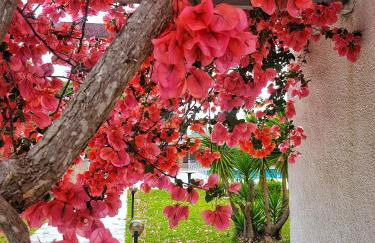 Hotel Kalamitsi Apartments - Photo 11