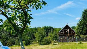 Agroturystyka Różanka - Foto 5, Garden