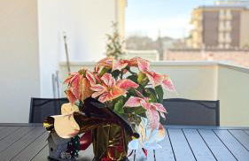 Fano Centro Mare - Foto 30