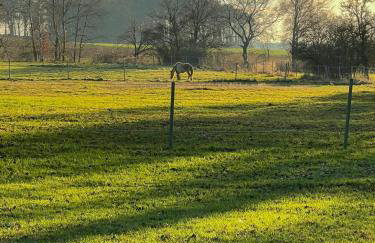 Architect's House With Nature View - Foto 5