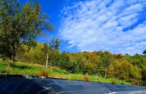 Leśna Muzyka Apartment Limanowa - Photo 24