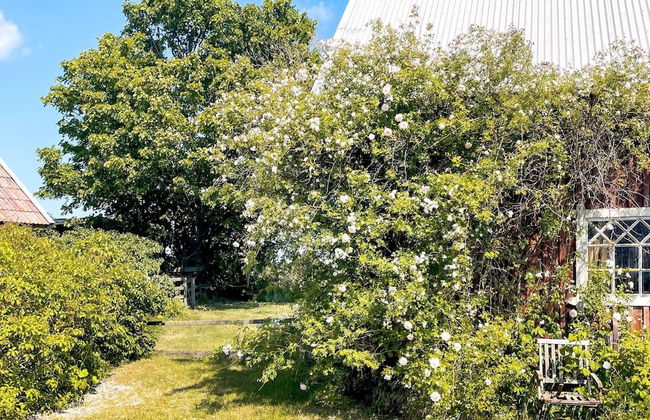 8 Person Holiday Home in Gotlands.tofta - Photo 30