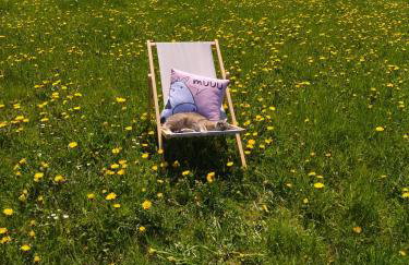 Pastelova Krova - domki w Bieszczadach - Foto 24