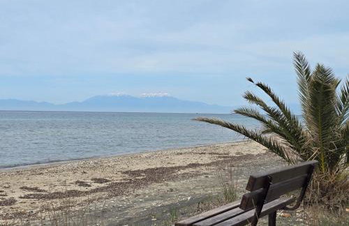 Athenas Vila - Foto 26