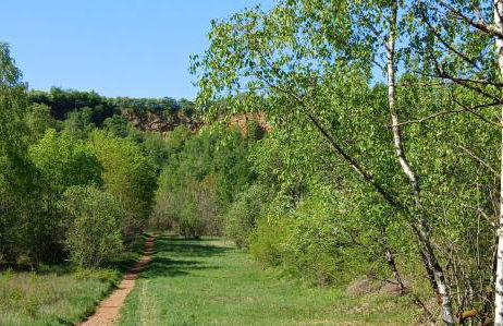 Studio with Garden - Foto 17