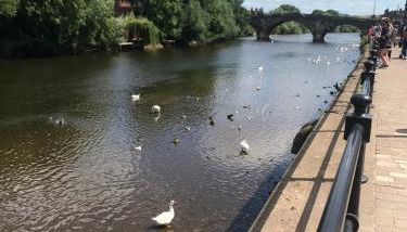 Quay Cottage River view - Foto 5