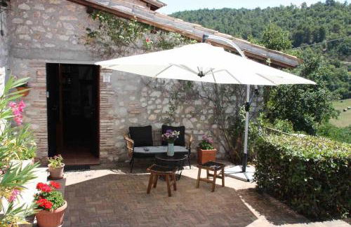 Forca de Cerro - Photo 3