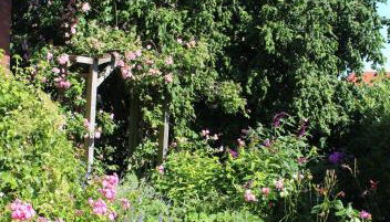 Ferienwohnung Lüntjenüst - Foto 4