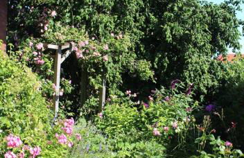 Ferienwohnung Lüntjenüst - Foto 4