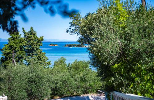 Apartman Stela u Kamporu - Photo 18