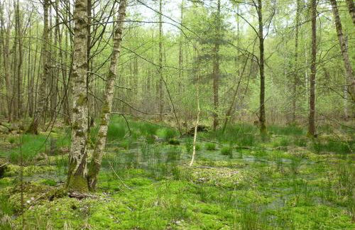 Haus am Sandsteinbruch - Foto 36