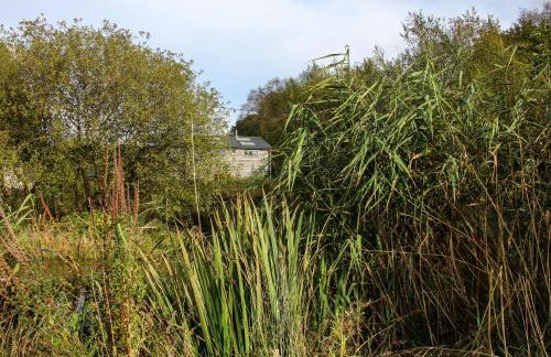 The Chicken Coop - Foto 23