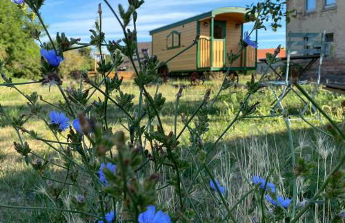 Zauberwagen am Geiseltalsee - Foto 1