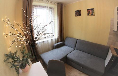Apartamenty Zielone Centrum - Foto 20