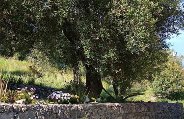 B&B Borgo San Antonio - Foto 40