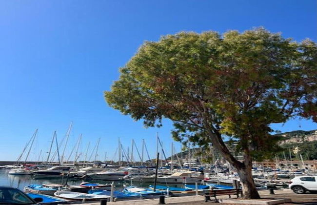 Apartment in Nice Near the Promenade des Anglais - Foto 42