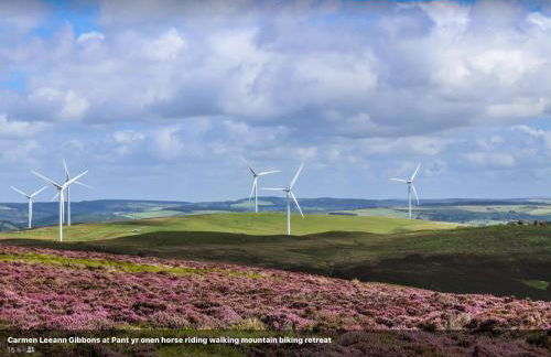 Pant yr onen holidays - Photo 70