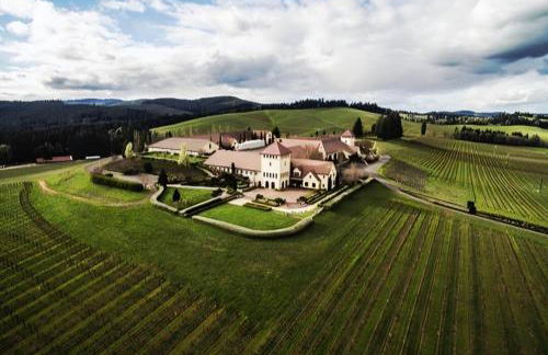 Cozy Luxury - King Bed, Coffee Bar, Sleeps 5 - Foto 44