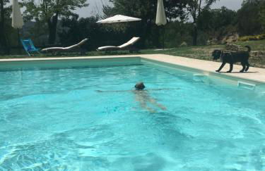 Pizzicalaluna Agriturismo Olistico sulle Colline di Pianoro - Photo 10