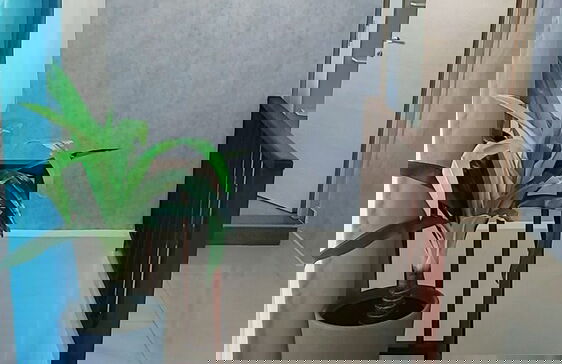 Hotel Boca del Mar Playa Boca Chica Penthouse - Photo 24