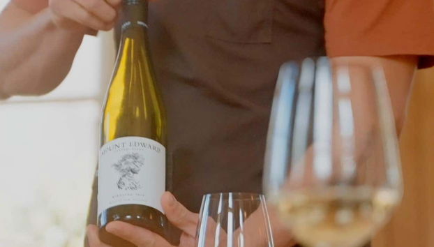 Savour delicious New Zealand wine