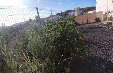 La Gata de Tefia - Foto 12