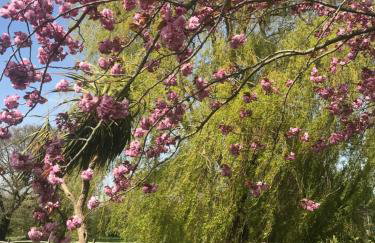 Bell Lodge - Foto 44