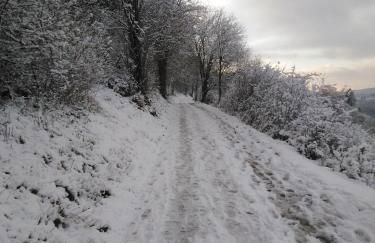 Marktstube - Foto 21