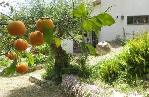 la fontana - Foto 78