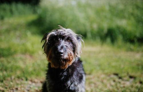 Demeure du Haut Canteloup - Foto 38