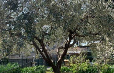 Resort Villa Rosa Maria - Foto 4