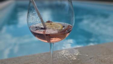 Holiday Home NOEL - NATURE & POOL - Foto 5