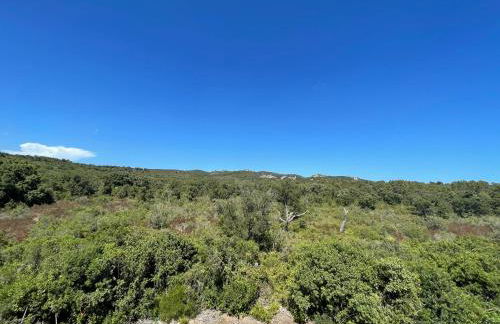 Chez Jeff Lucchini - Foto 12