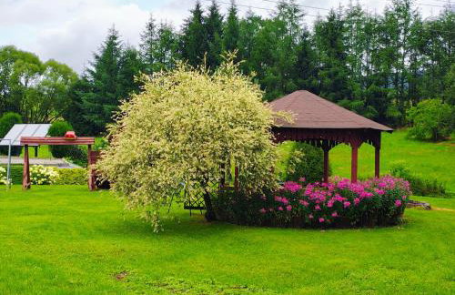 Agrokrysia - Foto 35