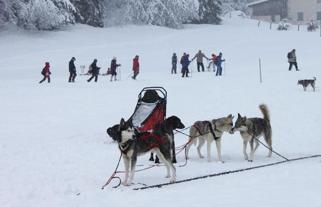 VVF Jura Les Rousses, Prémanon - Foto 34