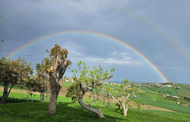 Inviting Holiday Home in San Costanzo With Swimming Pool - Foto 52