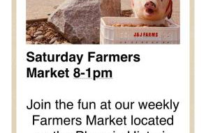 Folsom Old Town Escape • Cozy Cottage + Library - Foto 38