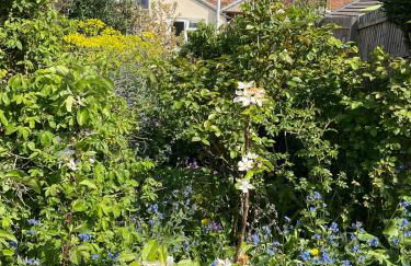 Terraced Garden House Three Bedrooms - Foto 19