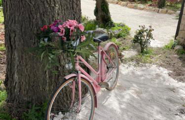 Il trullo di nonno Licchio - Foto 15