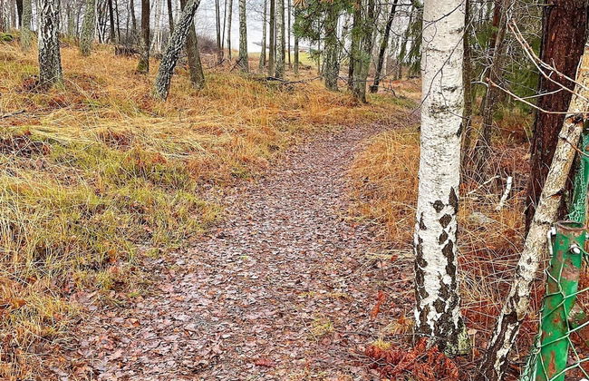 7 Person Holiday Home in Tyreso-by Traum - Photo 18