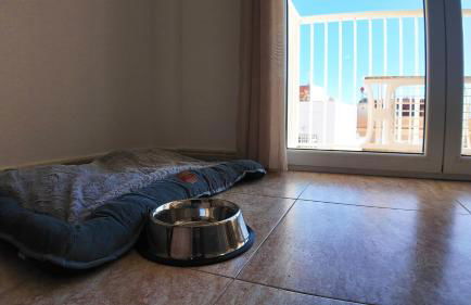 Apartalux Star Magic I - Foto 10