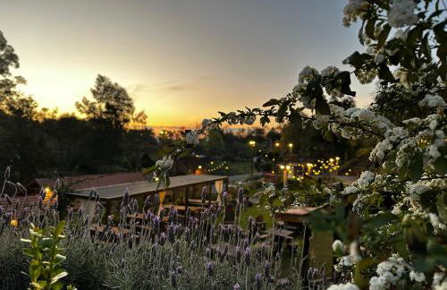 Villa Italia Hospedagem - Photo 81