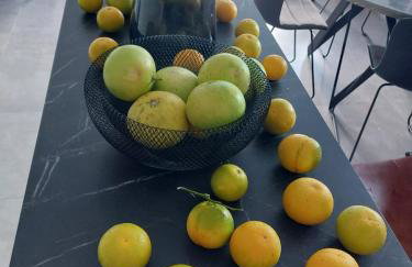 Bella Arte Dubrovnik - Photo 23