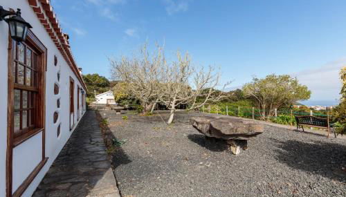 Facundo A - Foto 4, Garden