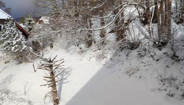 Feldbergsicht - Foto 5